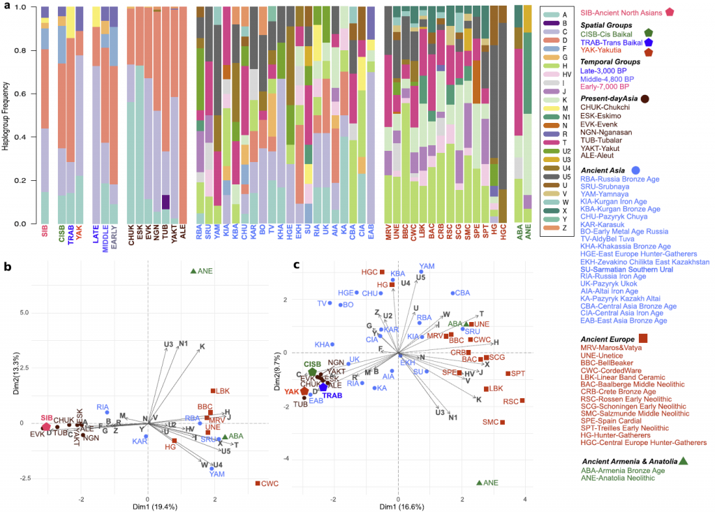 north-asians-mtdna-haplogroup-frequency